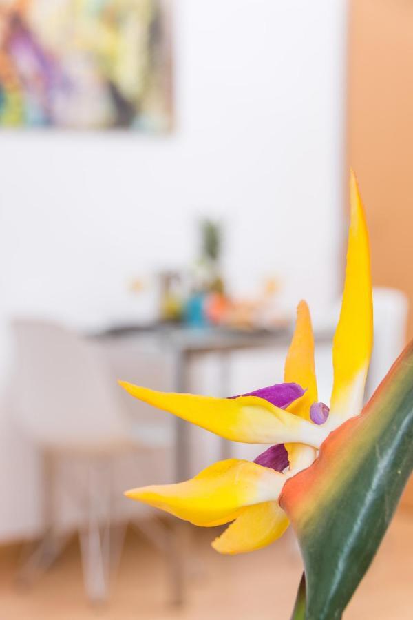 Apartamentos Bolsa Larios Малага Экстерьер фото